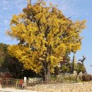 신접리 고인돌 | 여주 신륵사(神勒寺)