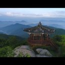 드림２１애드