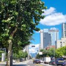 엘케이주유소 이미지