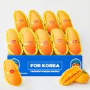 망고몰 - 영등포구 | 망고몰