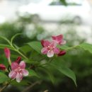 서신목장 이미지