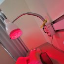 지월한의원 이미지