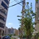 언노말