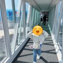 [삿포로항공권]대한항공 삿포로 리뉴얼된 대한항공후기 어린이기내식 특별기내식 신청 후기 -