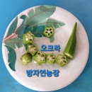 위미스테이