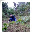 도현이네 농장 이미지