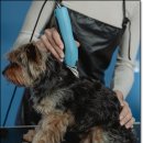 희망애견샵 이미지