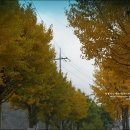 소리산마을 이미지