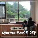 덴바스타 호텔 | 뷰가 멋진 부산스파호텔 :덴바스타 포레스트 호텔 히노끼트윈 후기