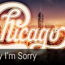 Hard To Say I'm Sorry - Chicago 이미지