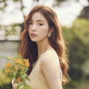단헤어
