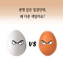 양천헬스 네이버블로그