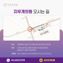 강남셀럽의원 이미지