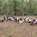 만성초등학교병설유치원 이미지