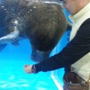 오름모텔 이미지