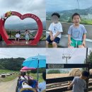 둔내목장 | 웰리힐리파크 워터파크 워터플래닛 루지 곤돌라 패키지 패밀리 온돌룸 숙소 조식 맛집 식당 후기