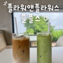 서귀포 안덕 카페, 플라워앤플라워스 플플스 내돈내산 솔직후기