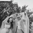 샵테라스 이미지