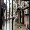 호텔 루(LU) | 상해 혼자여행 3,4일차 (화이하이중루,스타벅스리저브,장원,예원,하이디라오,우캉루 플랜트샵 plant ale...