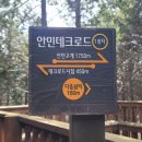 진해드림로드 | 진해여행 군항제 안민고개 안민데크로드 진해드림로드 트래킹 코스