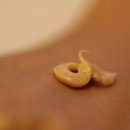 보명한의원 이미지