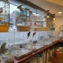 행복조류사 이미지