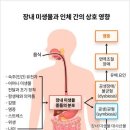 장