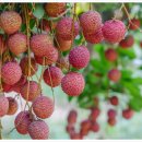 덕흥축산 이미지