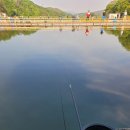 용인 놀거리 낚시 아이와가볼만한곳 한터낚시터 대대저수지