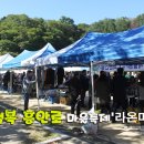 흥안로 이미지