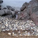 내도알작지 이미지