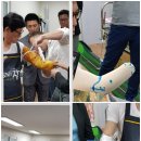 금아의수족 이미지