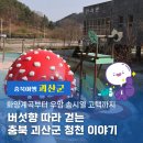 구룡천 | 화양계곡 부터 우암 송시열 고택 까지, 충북 괴산군 청천 이야기