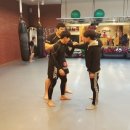 곰체육관 이미지