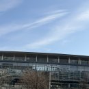 짬뽕맛집짬뽕타운본점 | [홍성방 본점] 부산역 중국집 부산 차이나타운 맛집 짬뽕 군만두 후기