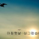 러브샵 이미지