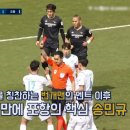 이스타 이미지