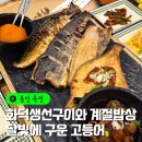 (주)새라컴퍼니 용인지점 | 용인 죽전 맛집 달빛에구운고등어 내돈내산 ｜ 화덕 생선구이 + 셀프바 솔직후기
