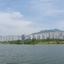 하단동1195 이미지