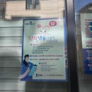 조탁구 | 미루고 또 미루다 야구와 함께 돌아온 슈러스의 일상일기