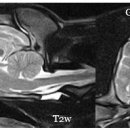 24시 청주이음동물의료센터 이미지