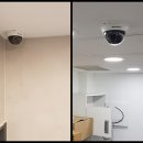 DS동물병원 이미지