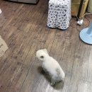 지수네수선