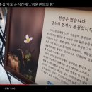 D00849 Daum카페