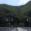 고씨사랑목장 | 3살 아이랑 가볼만한곳, 강원도 여행! 영월, 정선, 하이원 리조트