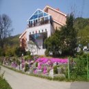 돌미상업로 이미지