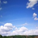 도마태평양약국 이미지