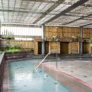 숲속 당구 이미지