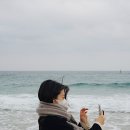 바우목장 이미지