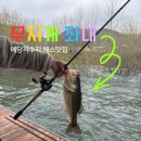 무지개좋아 | 예당지 무지개좌대 애견동반 배스낚시 후기